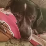 Thea Bennett - @theabennett68 - Instagram