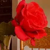 theabird925 - @theabird925 - TikTok