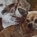 Thea Bourceau - @theabourceau - Instagram