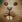 theabrady605 - @_spook787_ - TikTok