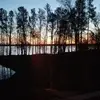 teenabuholzer - @teenabuholzer - TikTok