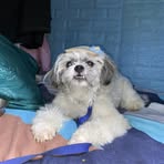 Thea Castillo - Facebook