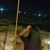 Thea Castro - @thea.castro32 - TikTok