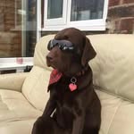 Thea Chapman - @thea_chapman01 - Instagram