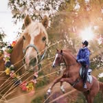 @theachens.horselife - Instagram