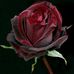 Thea Clark - Facebook