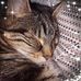 Therese Crowley - Facebook
