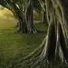 Thea Cunningham - @thea.cunningham3 - TikTok