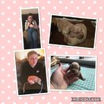 Thea Cunningham - @theacunninghamdog - Instagram
