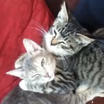 Thea_davison_livingston - @thea_davison_livingston - Instagram