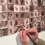 Thea Dodds - @theadodds - Instagram