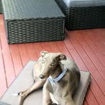 Thea Dunn - Facebook