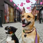 Thea&Frank - @theafranktakeontheworld - Instagram