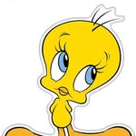 Tweety - @thea_frank48 - Instagram