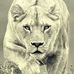 Thea Griffith - Facebook