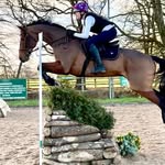 Thea Griffith Eventing - @thea.griff.eventing - Instagram