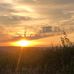 Thea Griffiths - Facebook
