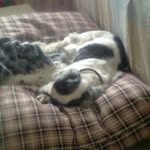Thea Johnson - @thea2258 - Instagram