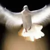 Thea Meyer - @thea.meyer7 - TikTok