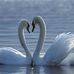 Thea Platt - Facebook