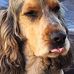Thea Platt - Facebook