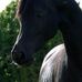 Therese Platt - Facebook