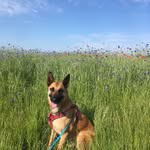 Thea Schmidt - @schmidtithea58 - Instagram