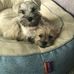 Thea Sullivan - Facebook