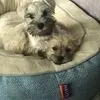 theasullivan2 - @thea.sullivan7 - TikTok