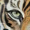 art <3 - @theartstyler - TikTok