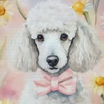 Thea Walters - @im_thea_the_dog - Instagram