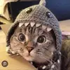 TheZanderKing - @the_zanderking - TikTok