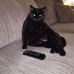 Theda Lamb - Facebook