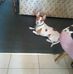 Theda White - Facebook