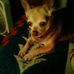 Theda White - Facebook