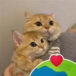 Thein Lin Aung - @theinlinaung2010 - Instagram