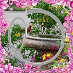 Nestor Thelma Barrera - @thelma.barrera.773 - Instagram