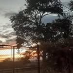 Thelma Bauer - @thelma7830 - Instagram