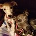 Thelma Bell - Facebook