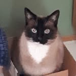 Thelma Bliss - @bliss_thelma - Instagram