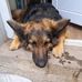 Thelma Briggs - Facebook