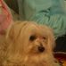 Thelma Cook - Facebook