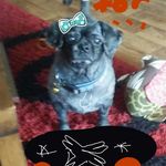 Thelma Cook - @thelma.cook.31 - Instagram