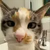 Thelma the cross-eyed diva - @cross.eyed.diva - TikTok