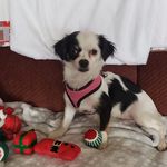 Thelma Light Curry - @thelma.curry.507 - Instagram