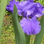 Thelma Combs-Daugherty - @combsdaugherty - Instagram