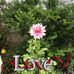 Thelma Dutton - Facebook