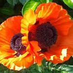 Thelma Eckert - @thelma.eckert - Instagram
