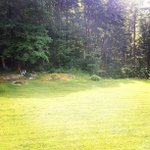 Thelma Eckert - @megsectart - Instagram
