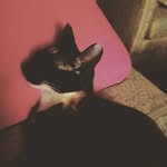 Thelma Eubanks - @thel.ma4380 - Instagram